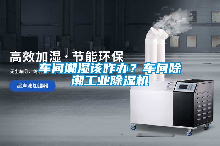 車間潮濕該咋辦？車間除潮工業除濕機