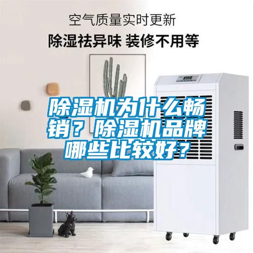 除濕機為什么暢銷？除濕機品牌哪些比較好？