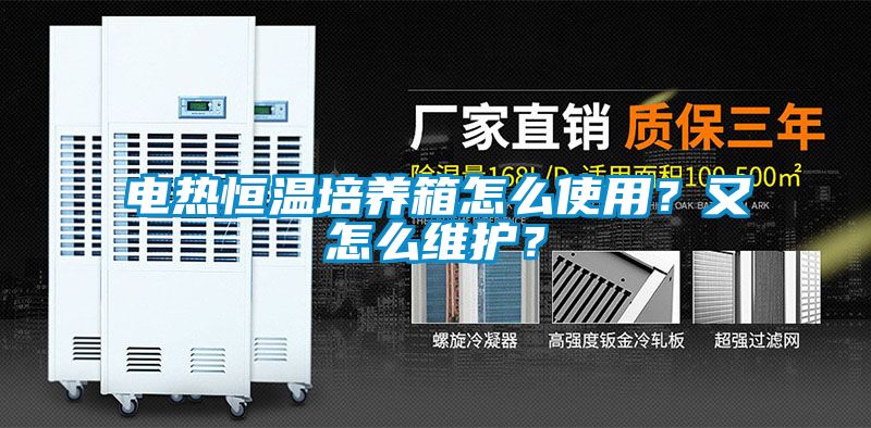 電熱恒溫培養箱怎么使用？又怎么維護？