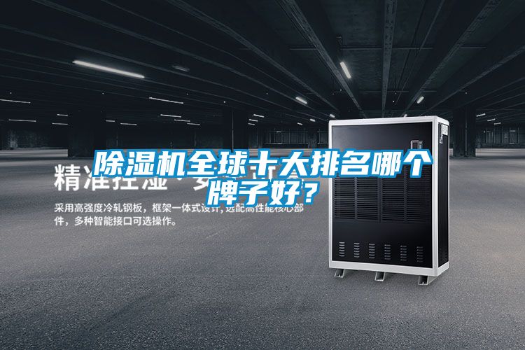 除濕機全球十大排名哪個牌子好？