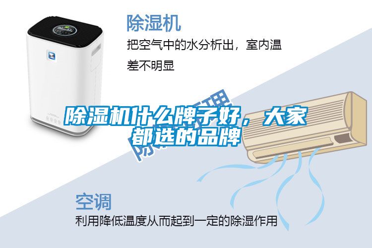 除濕機什么牌子好，大家都選的品牌