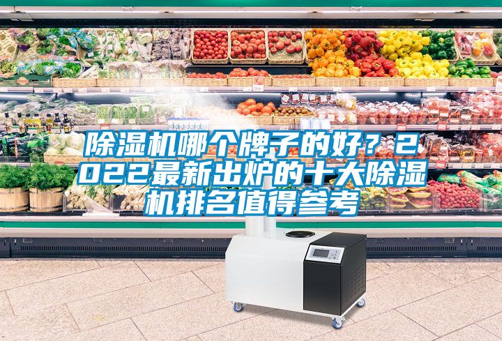 除濕機哪個牌子的好？2022最新出爐的十大除濕機排名值得參考