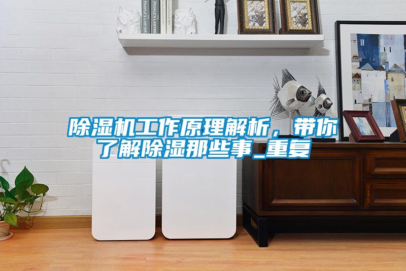 除濕機工作原理解析，帶你了解除濕那些事_重復
