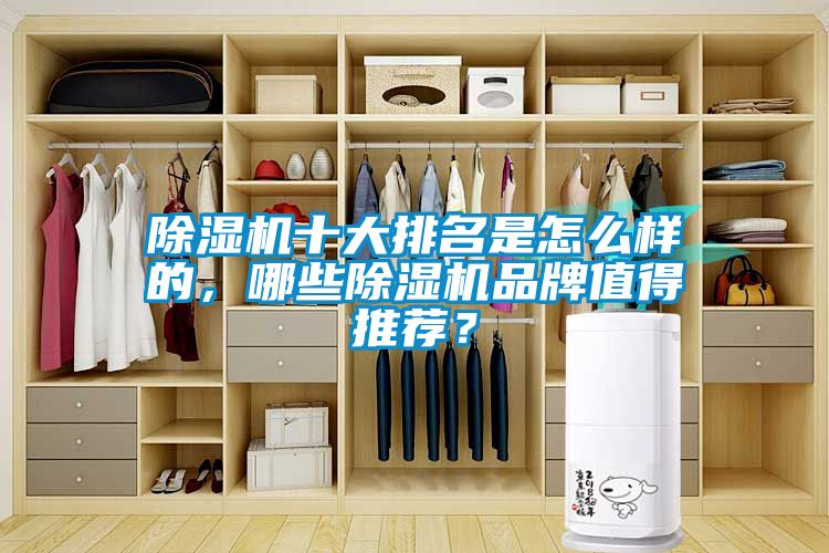 除濕機十大排名是怎么樣的，哪些除濕機品牌值得推薦？