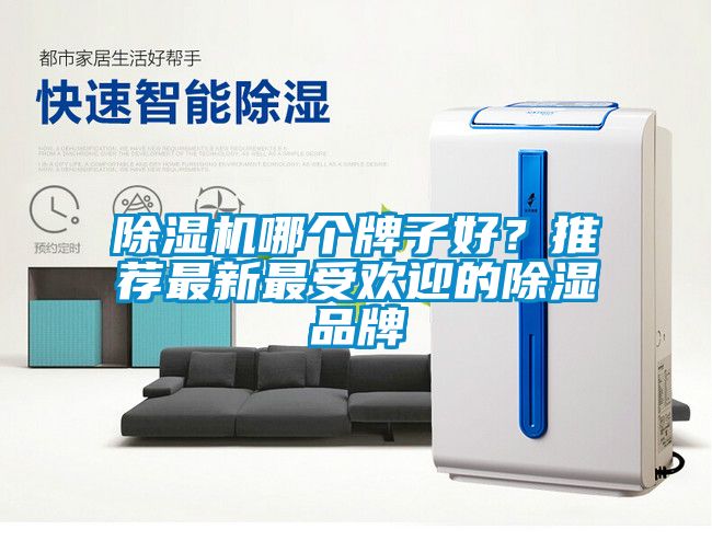 除濕機哪個牌子好？推薦最新最受歡迎的除濕品牌