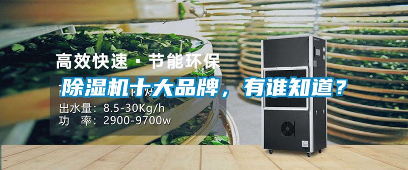 除濕機十大品牌，有誰知道？