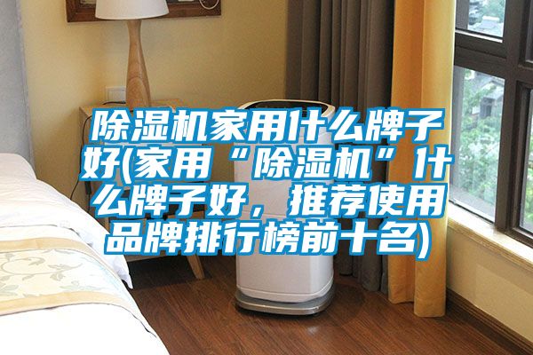 除濕機家用什么牌子好(家用“除濕機”什么牌子好，推薦使用品牌排行榜前十名)