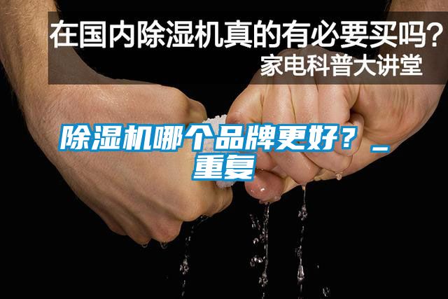 除濕機哪個品牌更好？_重復