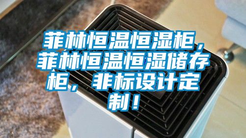 菲林恒溫恒濕柜，菲林恒溫恒濕儲存柜，非標設計定制！