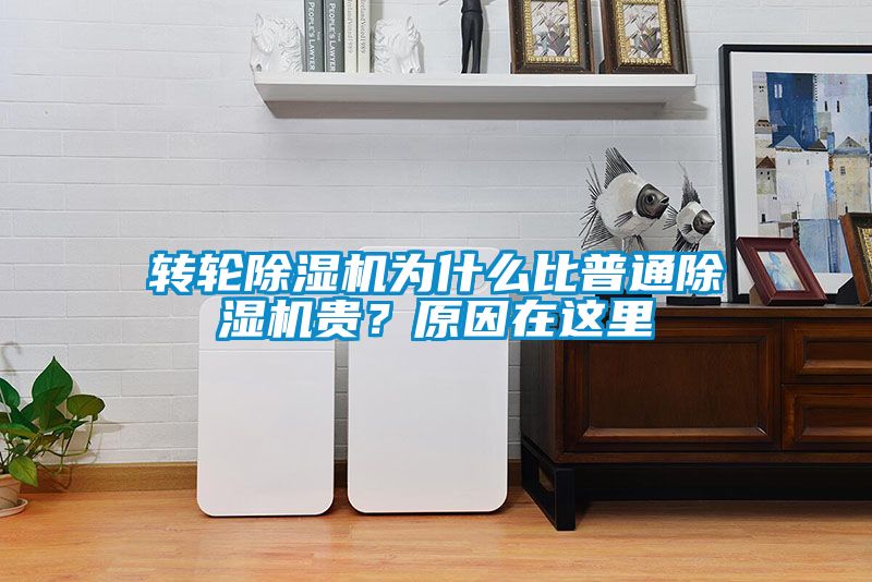 轉輪除濕機為什么比普通除濕機貴？原因在這里
