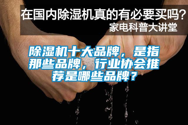 除濕機十大品牌，是指那些品牌，行業協會推薦是哪些品牌？