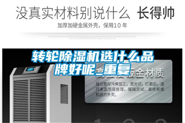 轉輪除濕機選什么品牌好呢_重復