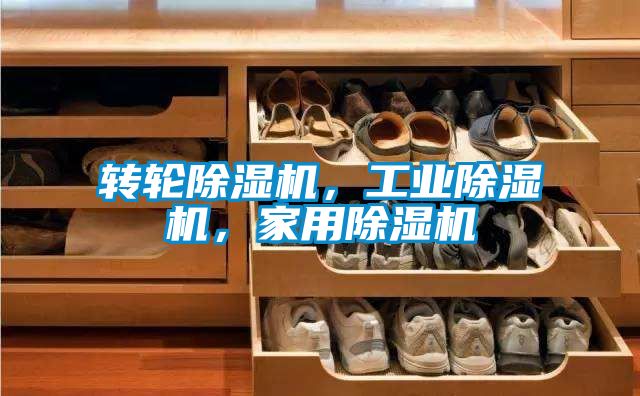 轉輪除濕機，工業除濕機，家用除濕機