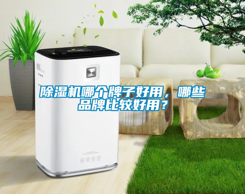 除濕機哪個牌子好用，哪些品牌比較好用？