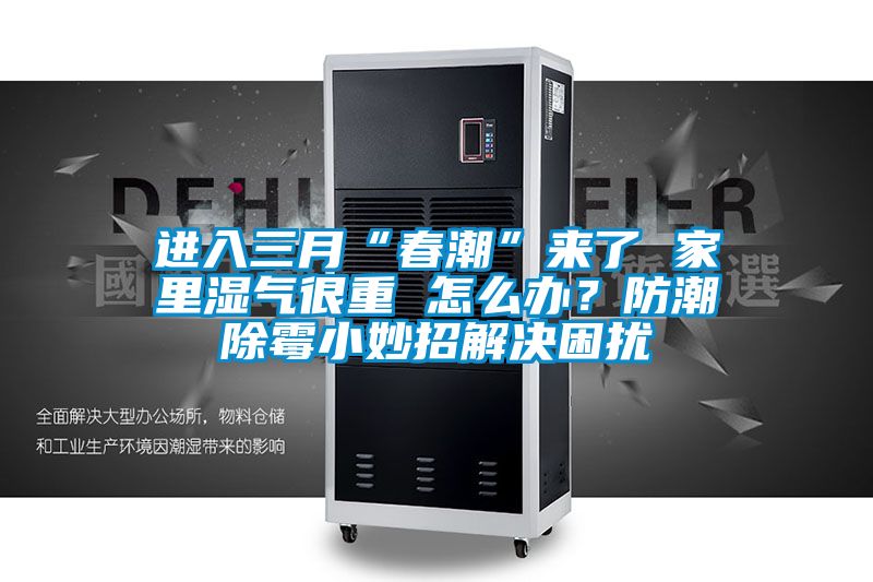 進入三月“春潮”來了 家里濕氣很重 怎么辦？防潮除霉小妙招解決困擾