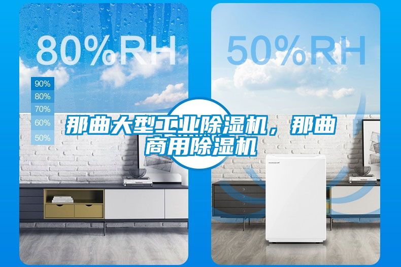 那曲大型工業除濕機，那曲商用除濕機