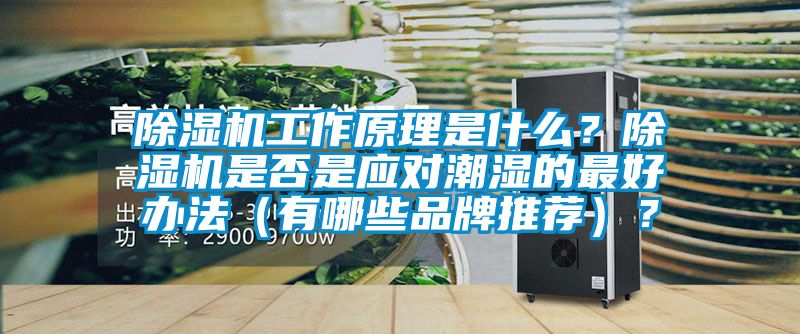 除濕機工作原理是什么？除濕機是否是應對潮濕的最好辦法（有哪些品牌推薦）？