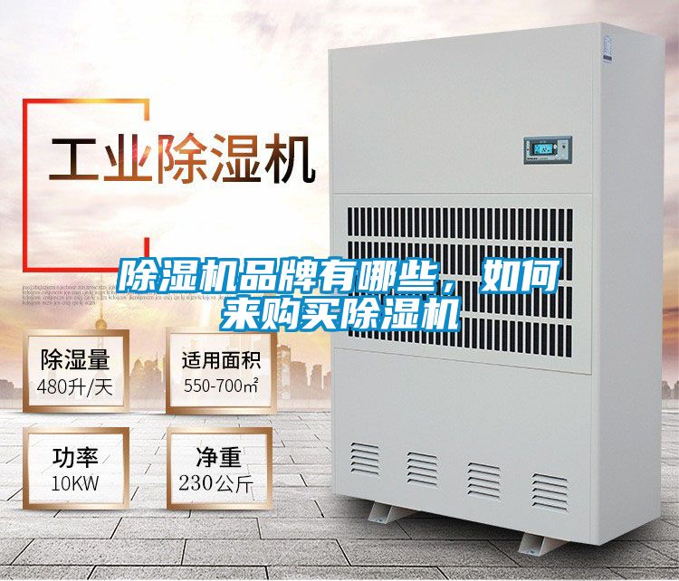 除濕機品牌有哪些，如何來購買除濕機