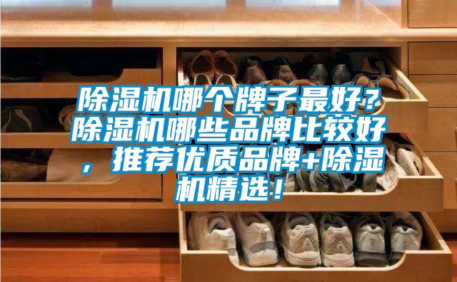 除濕機哪個牌子最好？除濕機哪些品牌比較好，推薦優質品牌+除濕機精選！