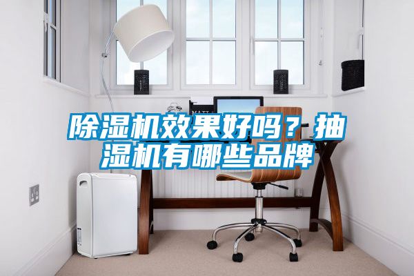 除濕機效果好嗎？抽濕機有哪些品牌