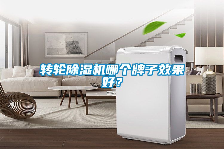 轉輪除濕機哪個牌子效果好？