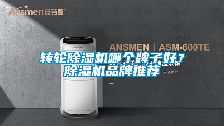 轉輪除濕機哪個牌子好？除濕機品牌推薦