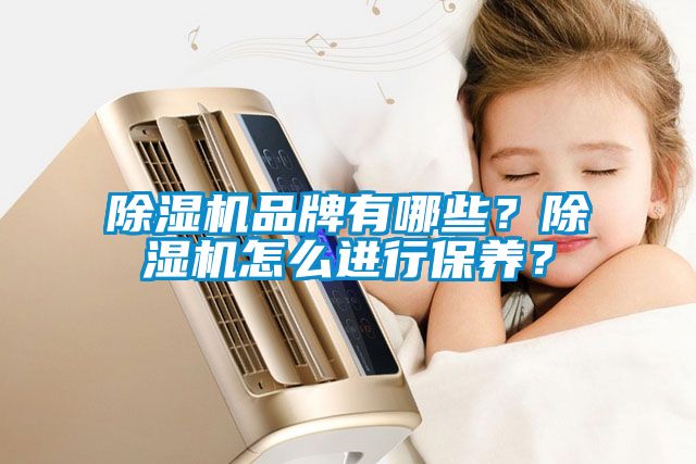 除濕機品牌有哪些？除濕機怎么進行保養？