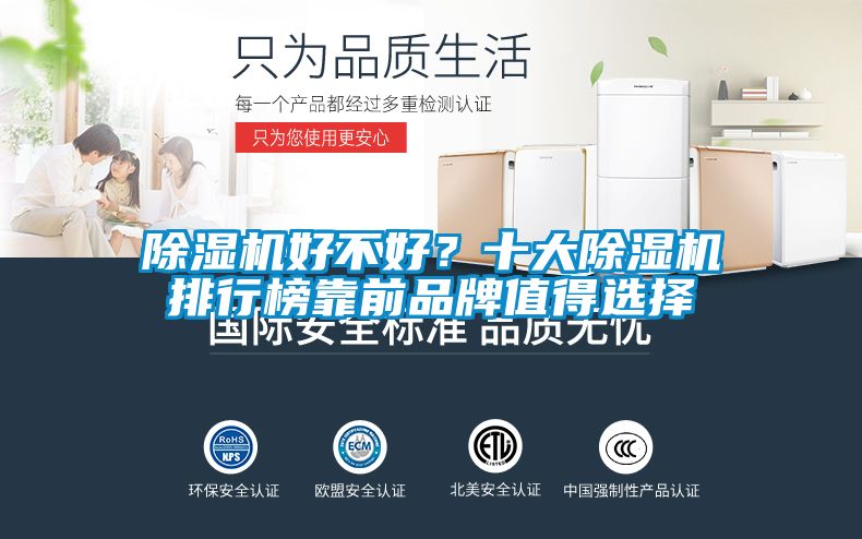 除濕機好不好？十大除濕機排行榜靠前品牌值得選擇