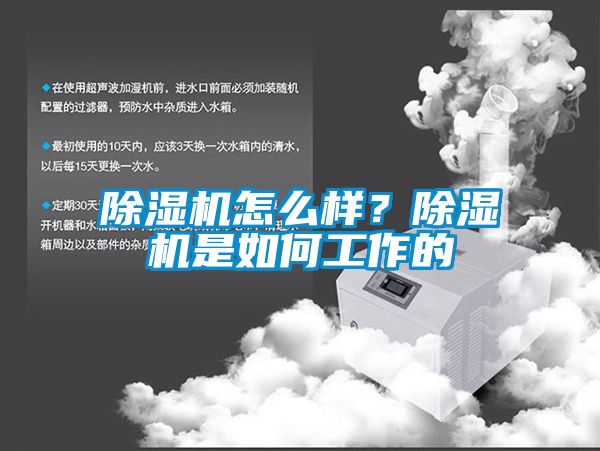 除濕機怎么樣？除濕機是如何工作的