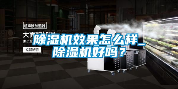 除濕機效果怎么樣_除濕機好嗎？