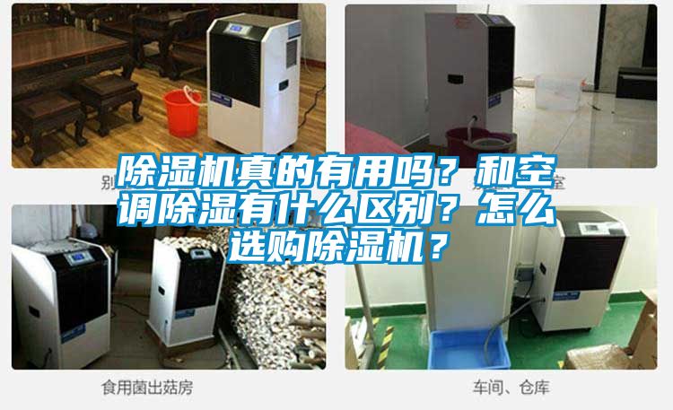 除濕機真的有用嗎？和空調除濕有什么區別？怎么選購除濕機？