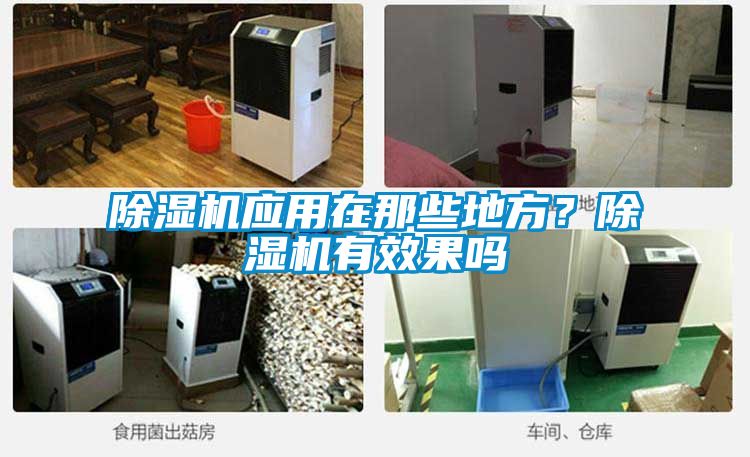 除濕機應用在那些地方？除濕機有效果嗎