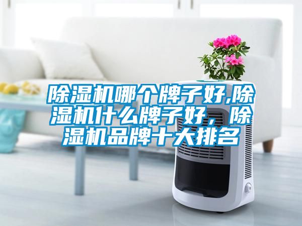 除濕機哪個牌子好,除濕機什么牌子好，除濕機品牌十大排名