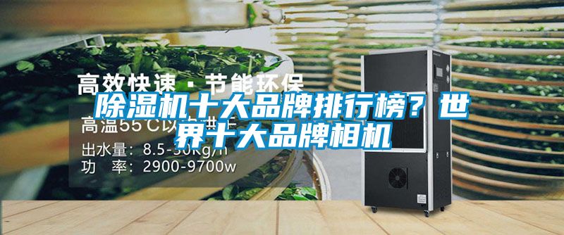 除濕機十大品牌排行榜？世界十大品牌相機
