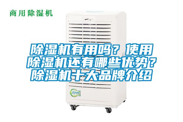 除濕機有用嗎？使用除濕機還有哪些優勢？除濕機十大品牌介紹