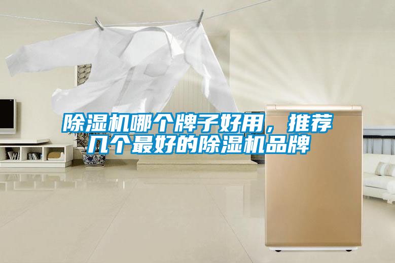 除濕機哪個牌子好用，推薦幾個最好的除濕機品牌
