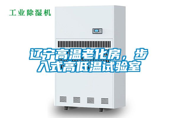 遼寧高溫老化房，步入式高低溫試驗室