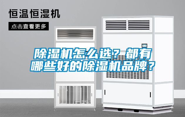 除濕機怎么選？都有哪些好的除濕機品牌？