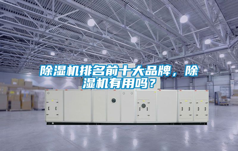 除濕機排名前十大品牌，除濕機有用嗎？