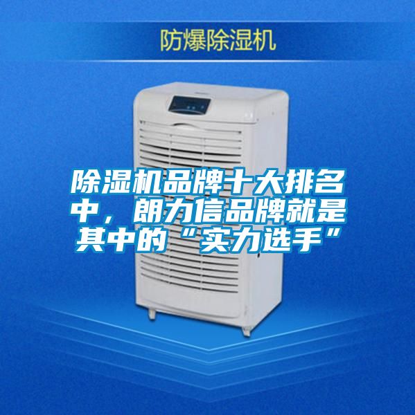 除濕機品牌十大排名中，朗力信品牌就是其中的“實力選手”