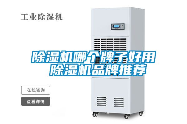 除濕機哪個牌子好用 除濕機品牌推薦