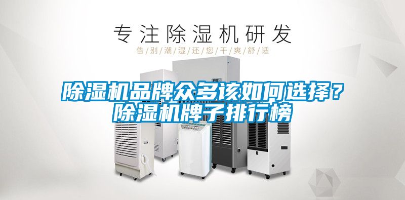 除濕機品牌眾多該如何選擇？除濕機牌子排行榜