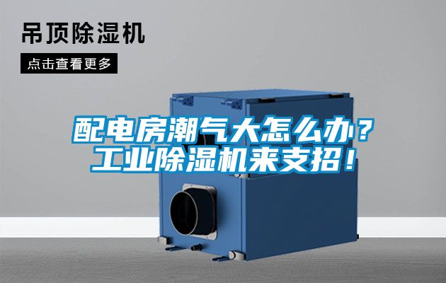 配電房潮氣大怎么辦？工業除濕機來支招！