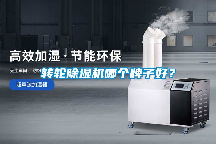 轉輪除濕機哪個牌子好？