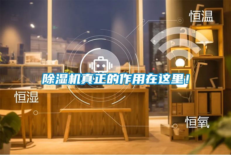除濕機真正的作用在這里！