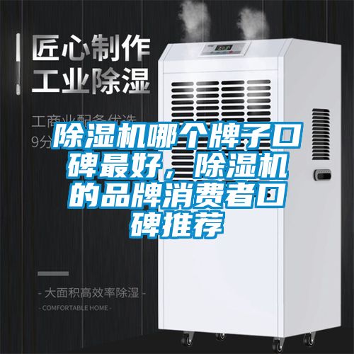 除濕機哪個牌子口碑最好，除濕機的品牌消費者口碑推薦