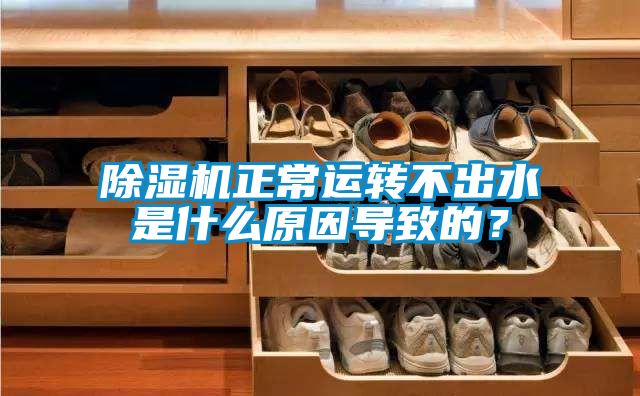 除濕機正常運轉不出水是什么原因導致的？