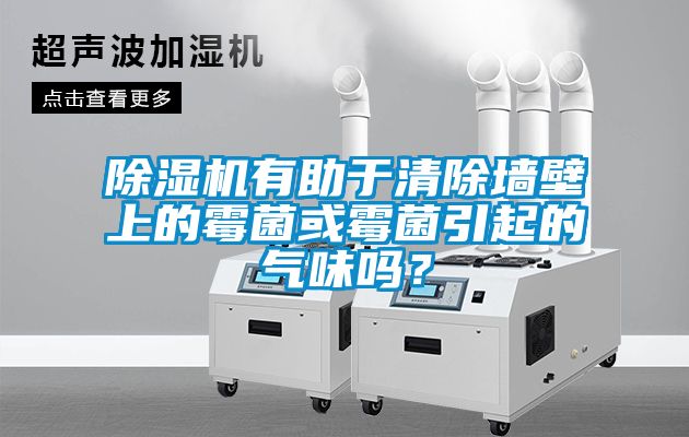 除濕機有助于清除墻壁上的霉菌或霉菌引起的氣味嗎？
