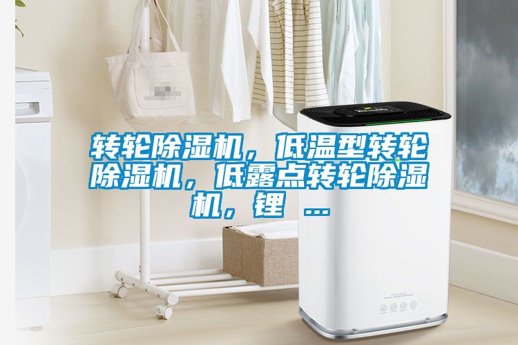 轉輪除濕機，低溫型轉輪除濕機，低露點轉輪除濕機，鋰 ...