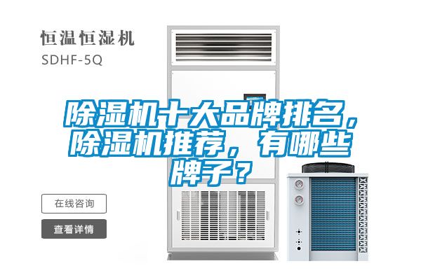 除濕機十大品牌排名，除濕機推薦，有哪些牌子？